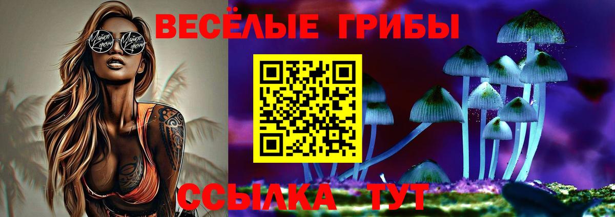 Галлюциногенные грибы MAGIC MUSHROOMS  Вход с VPN  Сунжа 